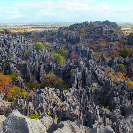 Multi-activités Madagascar Nord Malgache  et nosy bé