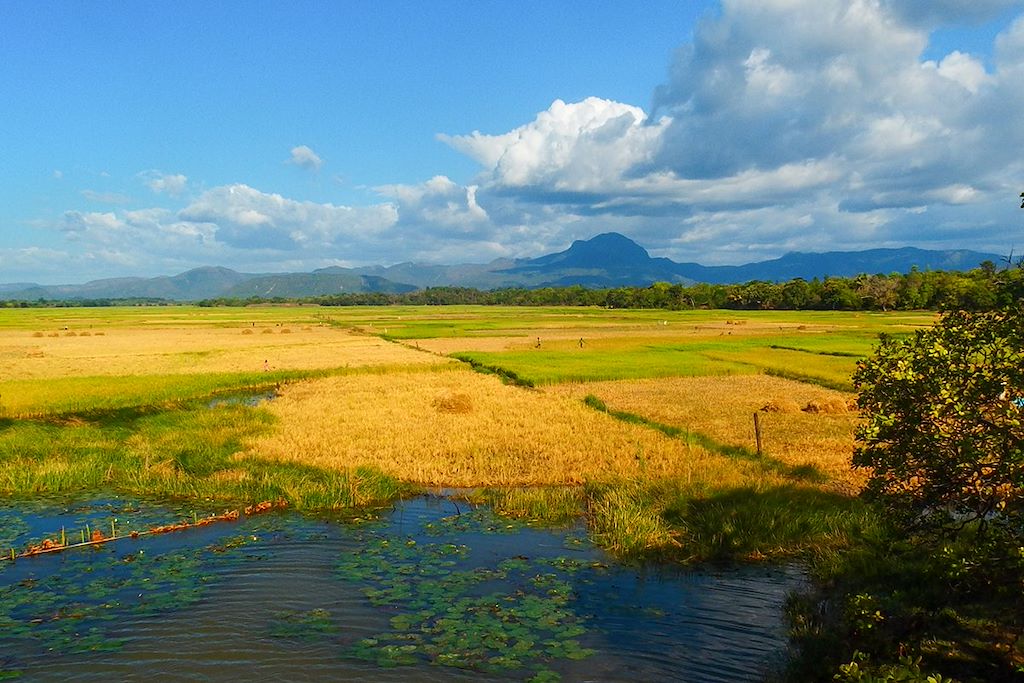 Image Madagascar en famille - Voyage Nosy Be - Diego Suarez