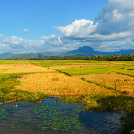 Randonnée Madagascar Nord Malgache  et nosy bé