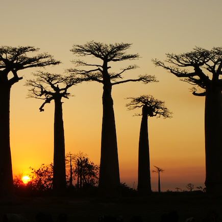 Découverte Madagascar Hautes Terres malgaches
