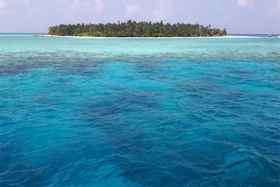 Atoll Vavu - Maldives