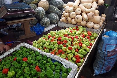 Marché de Malé - Maldives