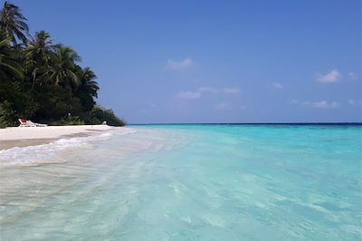 Île Embudu - Maldives
