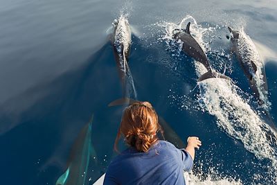 Voyage Maldives, d'île en île 3