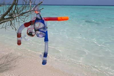 © Marie Joffres - Snorkeling - Maldives Snorkeling - Maldives