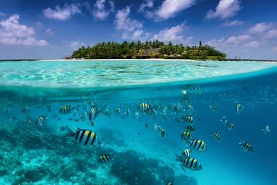 Voyage Maldives