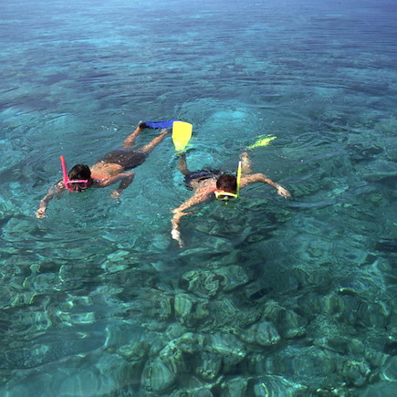 Baignade - Snorkeling Maldives