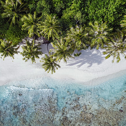 Baignade - Snorkeling Maldives