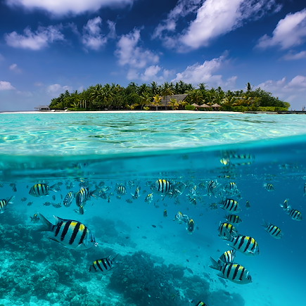 Baignade - Snorkeling Maldives