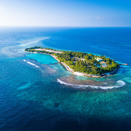 Baignade - Snorkeling Maldives