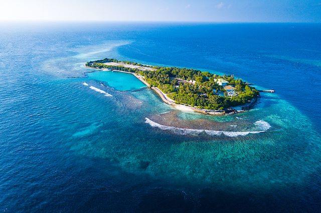 Baignade - Snorkeling Maldives