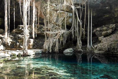© Mathilde Salmon - Cenote X Batun - Mexique Cenote X Batun - Mexique