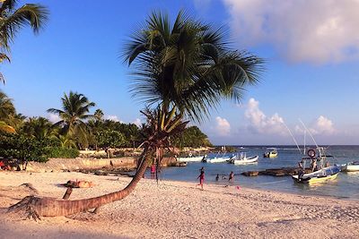 © Thomas Cattiaux - Akumal - Mexique Akumal - Mexique