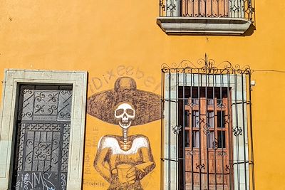 Street art à Oaxaca - Mexique