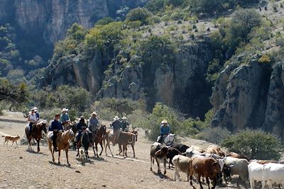 Canyon du Coyote - Mexique