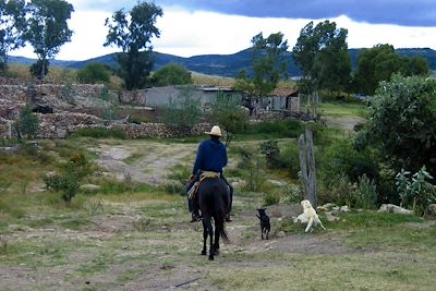 Voyage Les monarques du Mexique 2