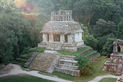 Temple Maya à palenque dans les Chiapias, Mexique 