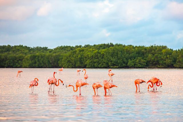 Voyage Yucatán, sur les traces des Mayas... 