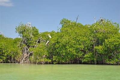 La Réserve de Sian Ka’an, entre la mer des Caraïbes et la lagune Chunyaxché - Mexique