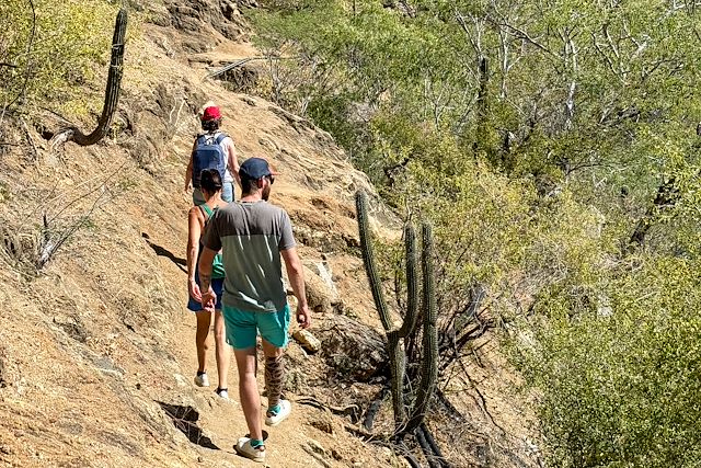 Multi-activités : L’Ouest mexicain : canyons et Basse-Californie Voyage L’Ouest mexicain : canyons et Basse-Californie