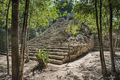 Site de Coba - Yucatan - Mexique