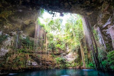 © MartinM303 / iStock - Cénote, grotte - Chichen Itza - Yucatan - Mexique Cénote, grotte - Chichen Itza - Yucatan - Mexique
