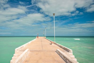 © OscarLoRo / Adobe Stock - El Cuyo - Yucatan - Mexique El Cuyo - Yucatan - Mexique
