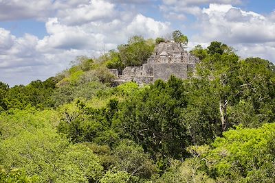 état de Campeche, Réserve de biosphère de Calakmul, Ancienne cité Maya classée au patrimoine mondial de l'UNESCO, Mexique