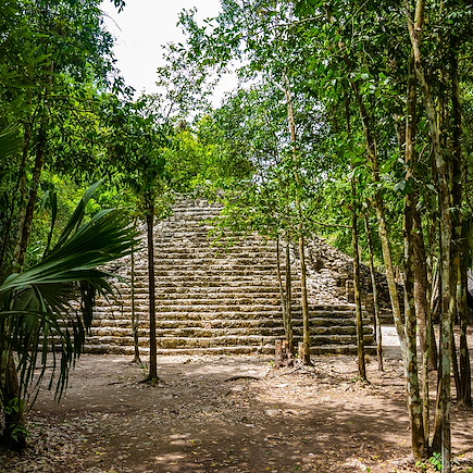 Découverte Mexique