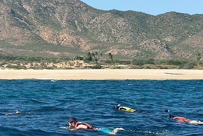 Snorkeling - Cabo Pulmo - Los Cabos - Basse-Californie du Sud - Mexique
