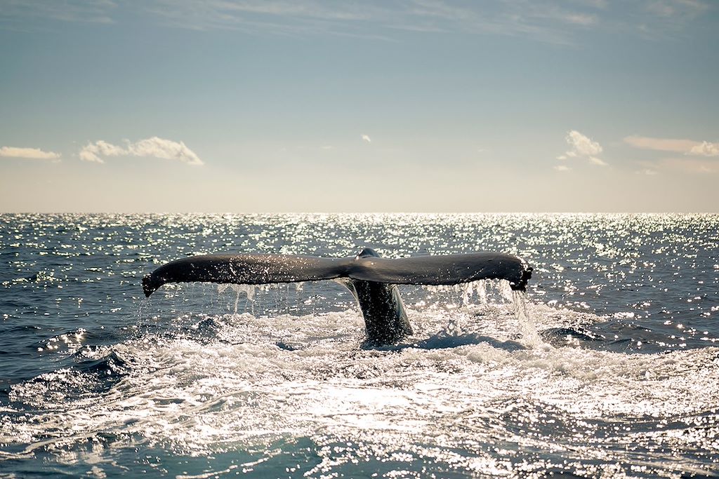 Baignade - Snorkeling Mexique