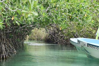 Mangrove de Sian Ka'an - Mexique