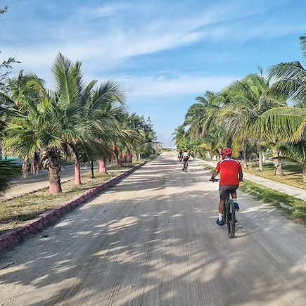 Vélo Mexique