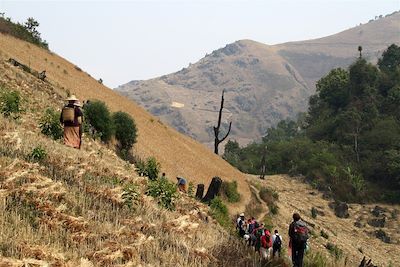 Randonnée dans les plantations - Région du lac Inle - Birmanie