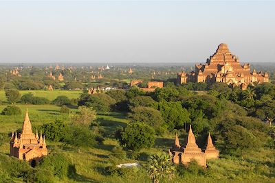 Vue sur Bagan - Temple de Dhammayangyi - Birmanie