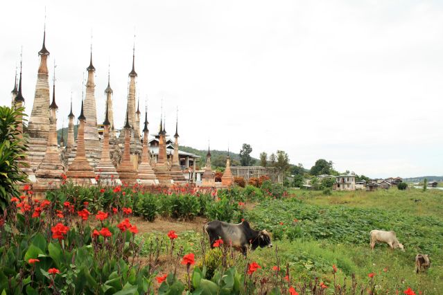 Image Des temples de Bagan aux plages de Dawei
