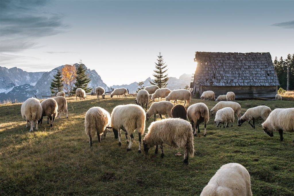 Parcs nationaux du Monténégro