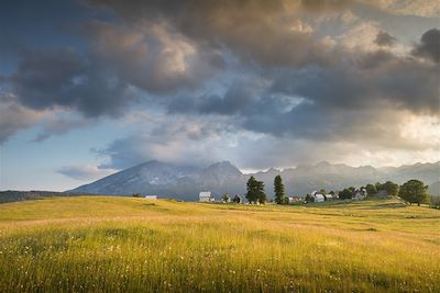 © Fotokostic / iStock - Zabljak - Monténégro Zabljak - Monténégro