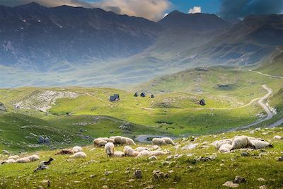 © Fotokostic / iStock - Zabljak - Monténégro Zabljak - Monténégro
