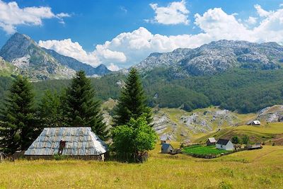 Montagnes Komovi - Monténégro