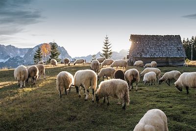 © Fotokostic / iStock - Zabljak - Monténégro Zabljak - Monténégro