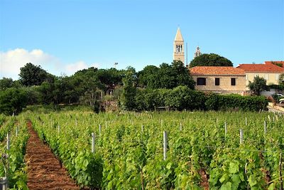© Marion Jannin - Lumbarda - Croatie Lumbarda - Croatie