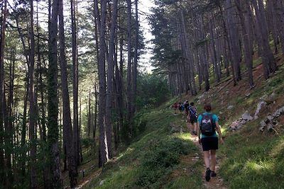 Sur les pentes du Lovcen - Bouches de Kotor - Monténégro