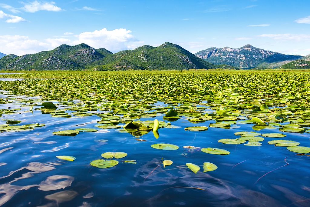 Image Riviera albanaise à vélo - Lac de Shkodra à vélo - Kotor à vélo