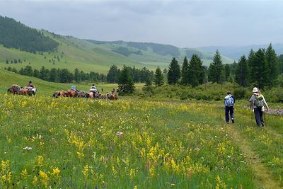 Parc national de Terelj - Mongolie