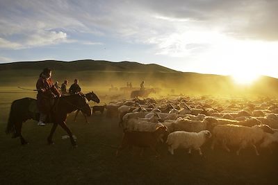 Trek Mongolie