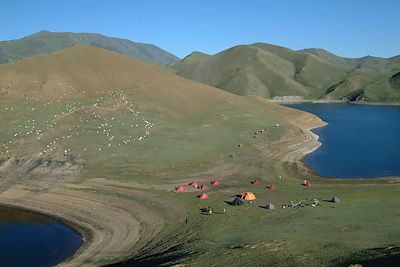 Altai - Mongolie