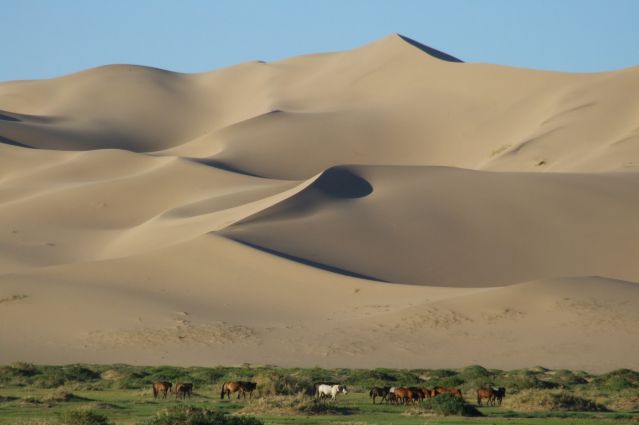 Image Du désert de Gobi à la vallée de l'Orkhon