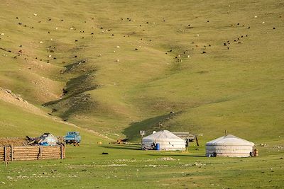 © Denis Chambon - Camp de yourtes - Vallée de l'Orkhon - Khangai - Mongolie Camp de yourtes - Vallée de l'Orkhon - Khangai - Mongolie