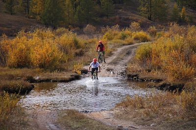 VTT - Mongolie